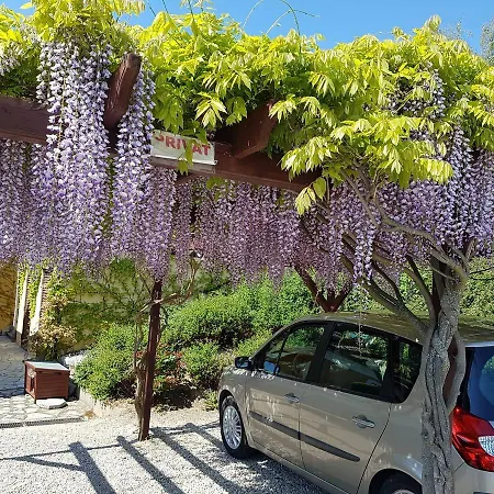 Gombas Kuria Mansion Boutique 4* Balatonfüred